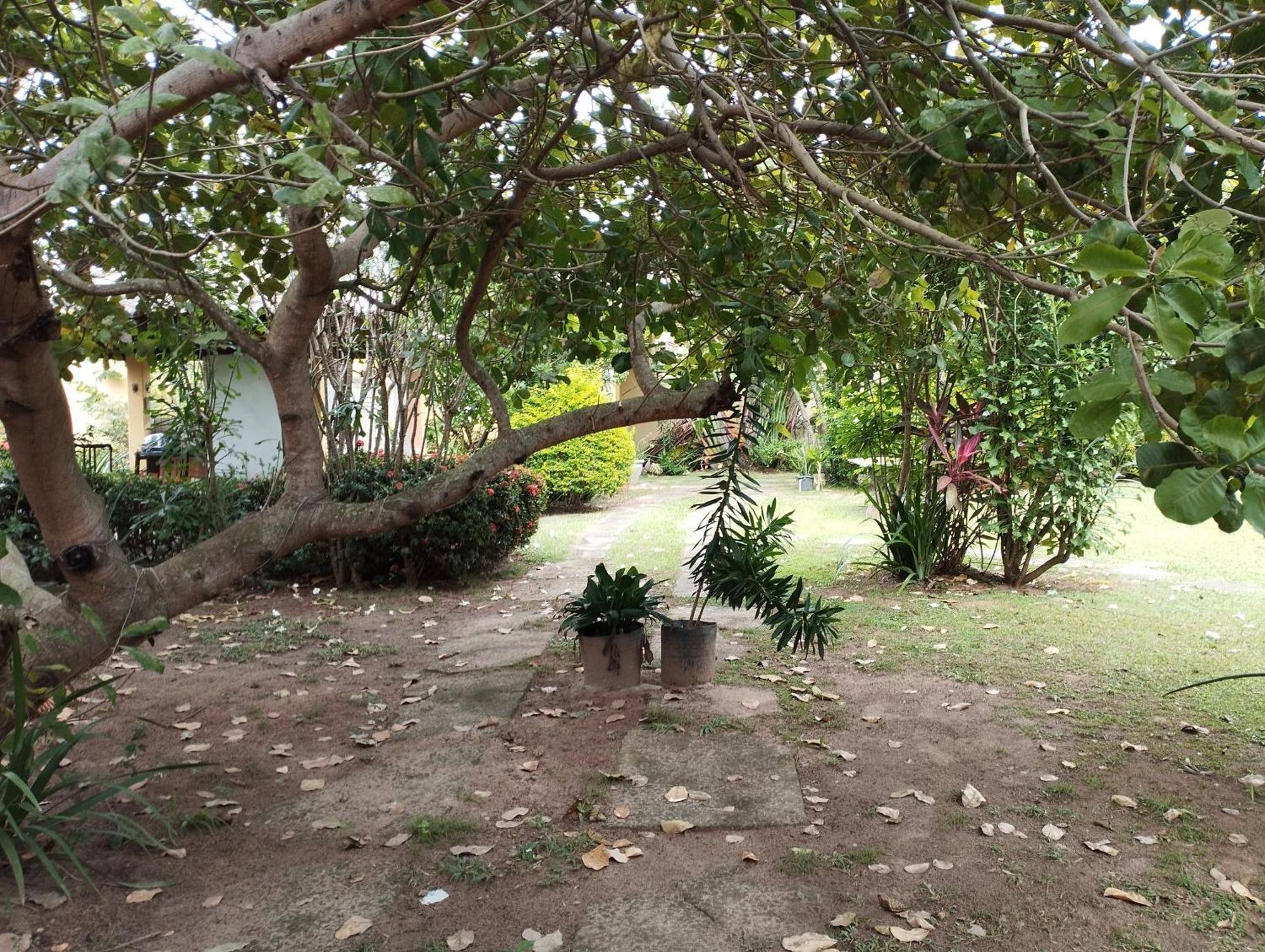 Lumiar Garden Suites E Chales Em Vilas Do Atlantico Лауру-ди-Фрейтас Экстерьер фото