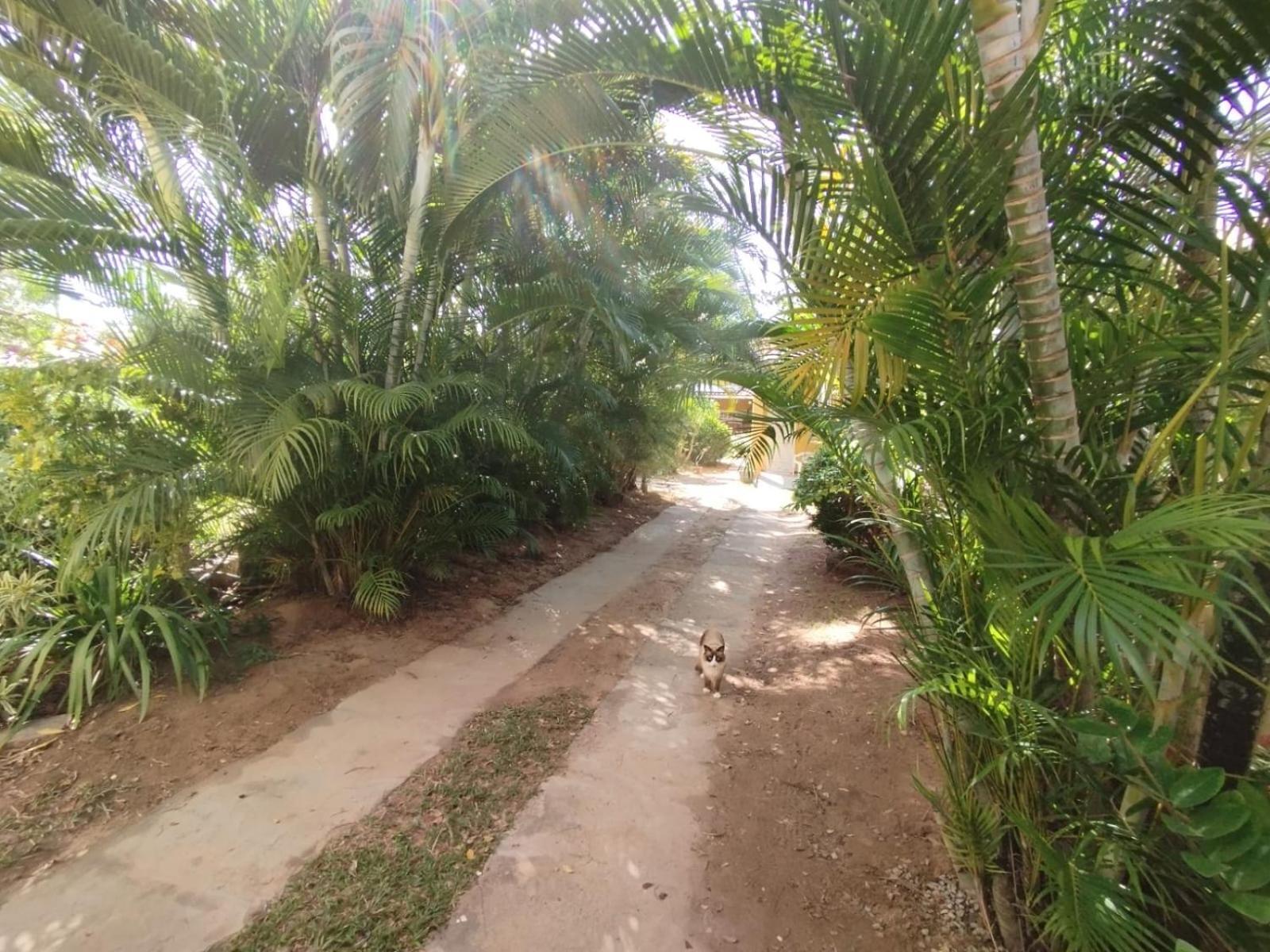 Lumiar Garden Suites E Chales Em Vilas Do Atlantico Лауру-ди-Фрейтас Экстерьер фото